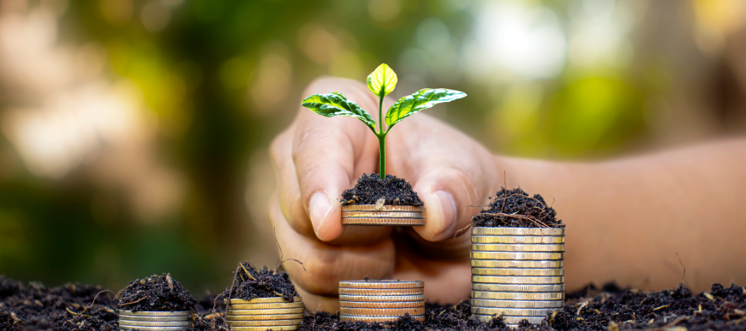 Tu Guía Psicológicamente Informada para Dominar la Vida Económica