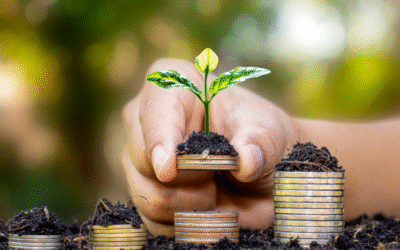 Tu Guía Psicológicamente Informada para Dominar la Vida Económica